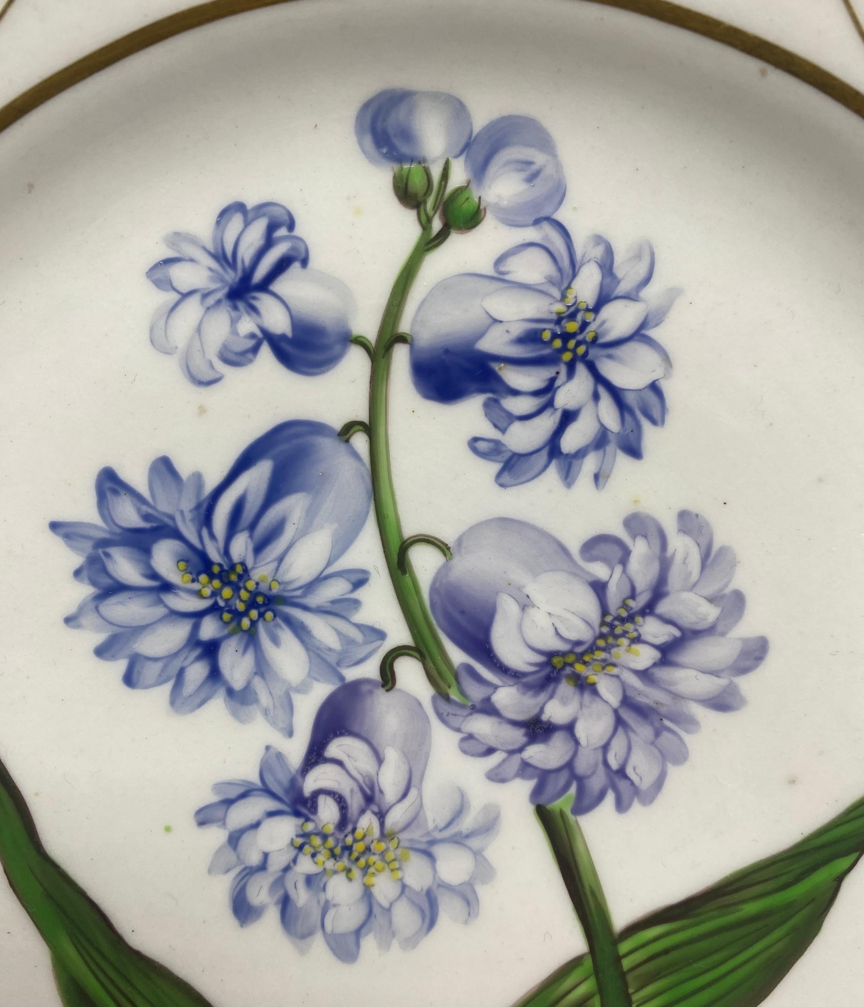 Georgian English porcelain botanical dish, ‘Hyacinth’, c. 1800 For Sale