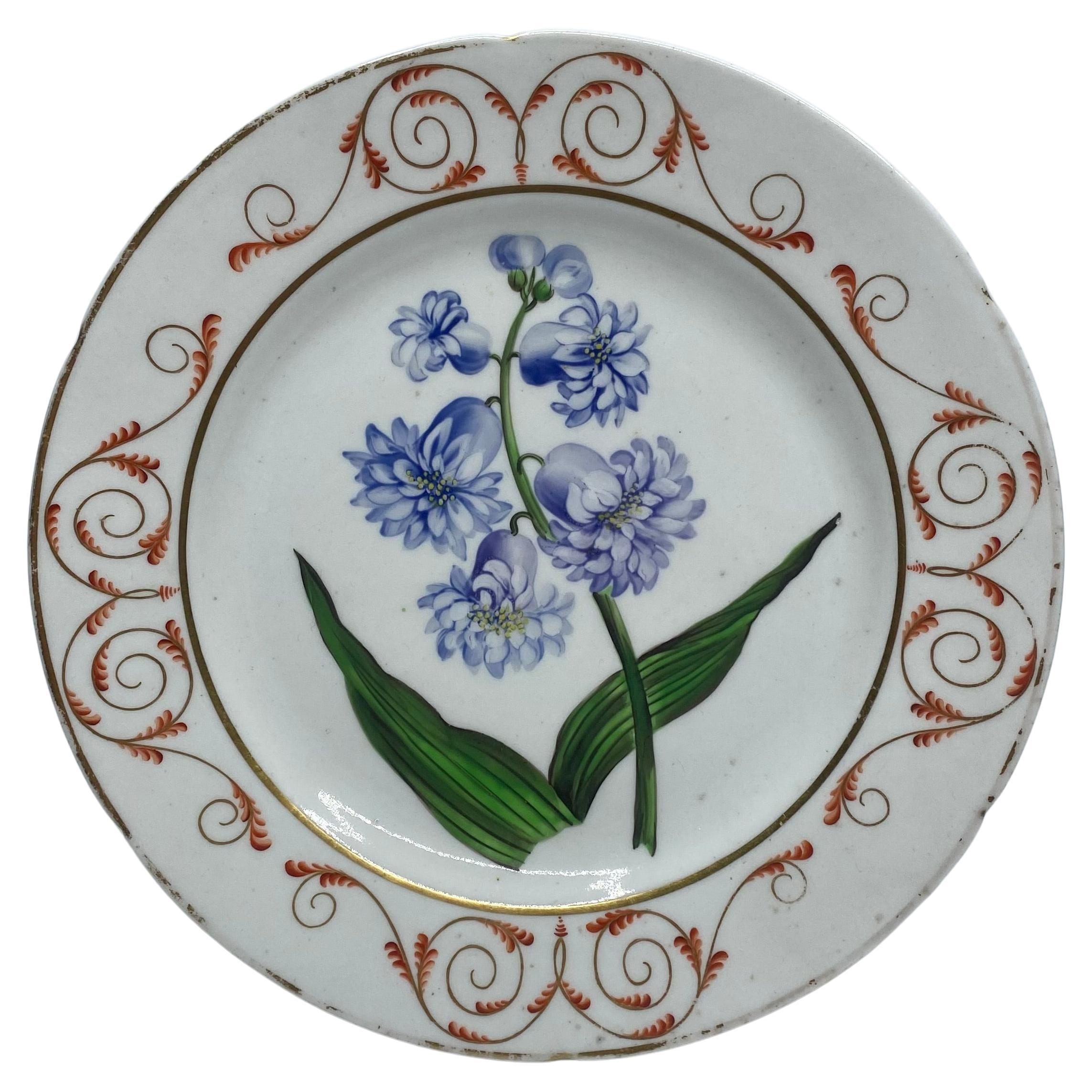 English porcelain botanical dish, ‘Hyacinth’, c. 1800 For Sale