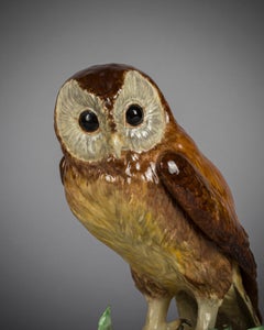 English Porcelain Owl, Royal Crown Derby, Mid-20th Century