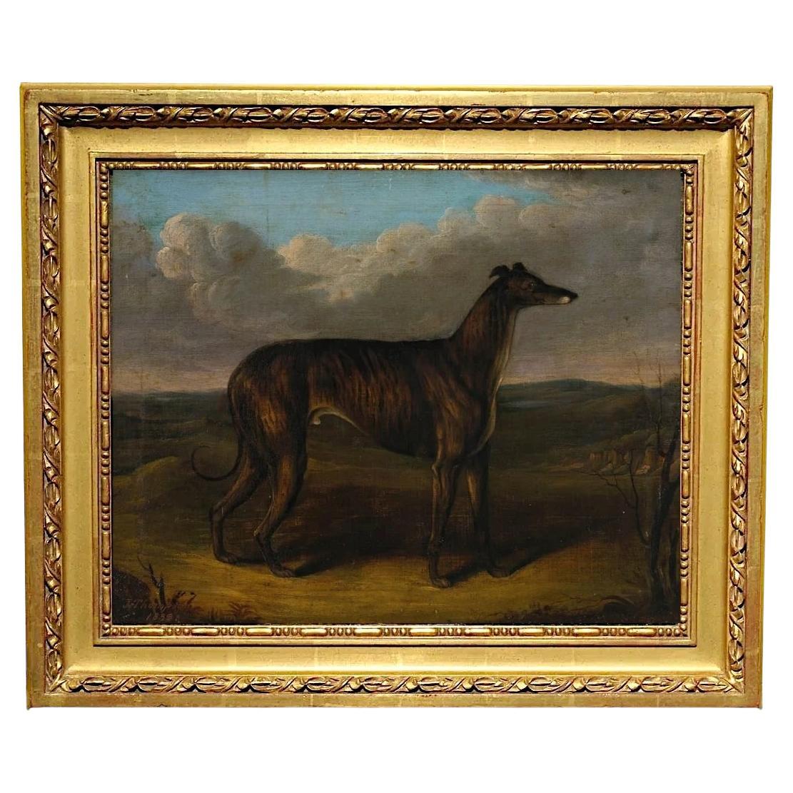 Ritratto inglese di un levriero vincitore di un premio, "The Sultan" di J. Thompson, 1838 in vendita