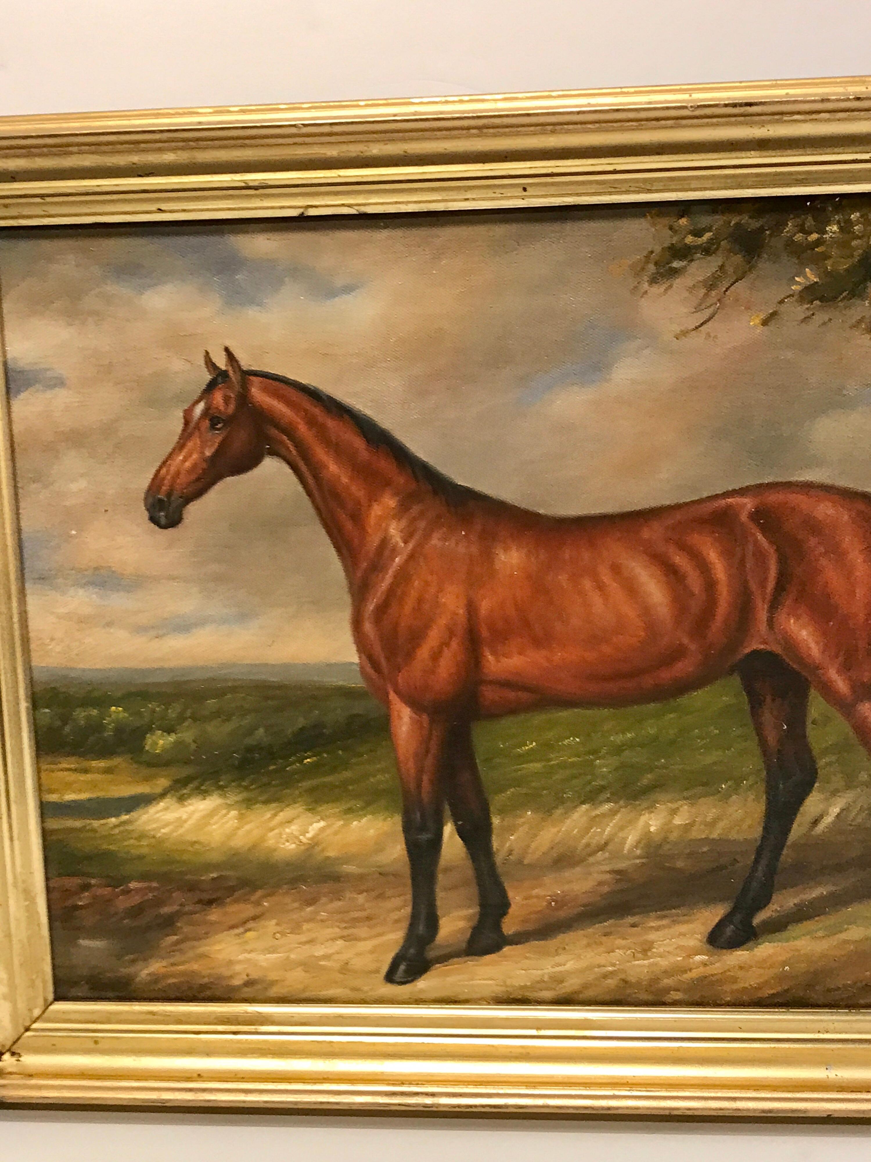 English portrait of a standing horse, well painted, unsigned.
Measures: 16