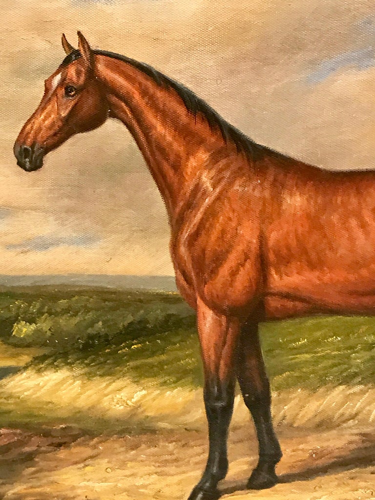 English Portrait of a Standing Horse at 1stDibs