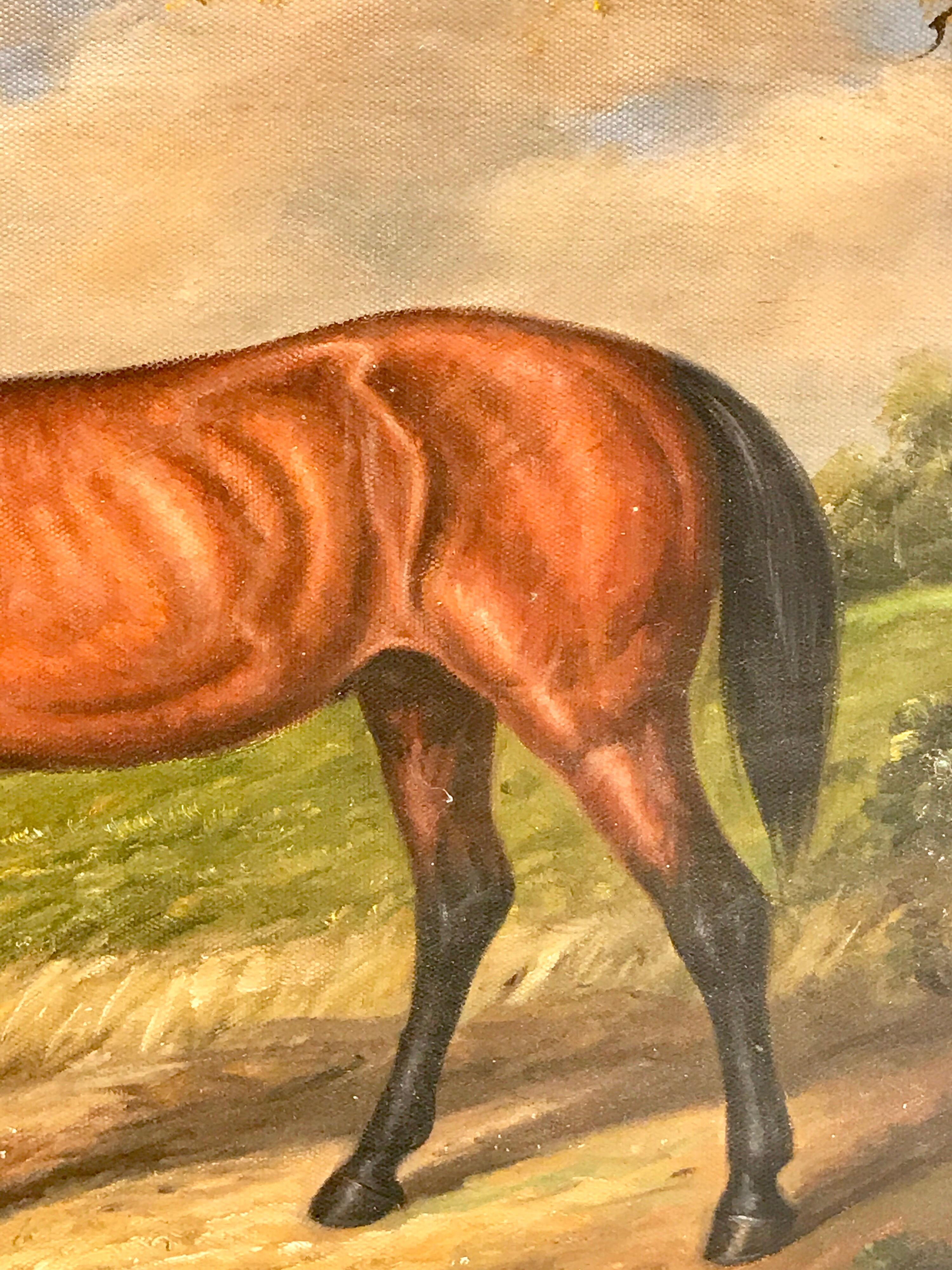 English Portrait of a Standing Horse 1