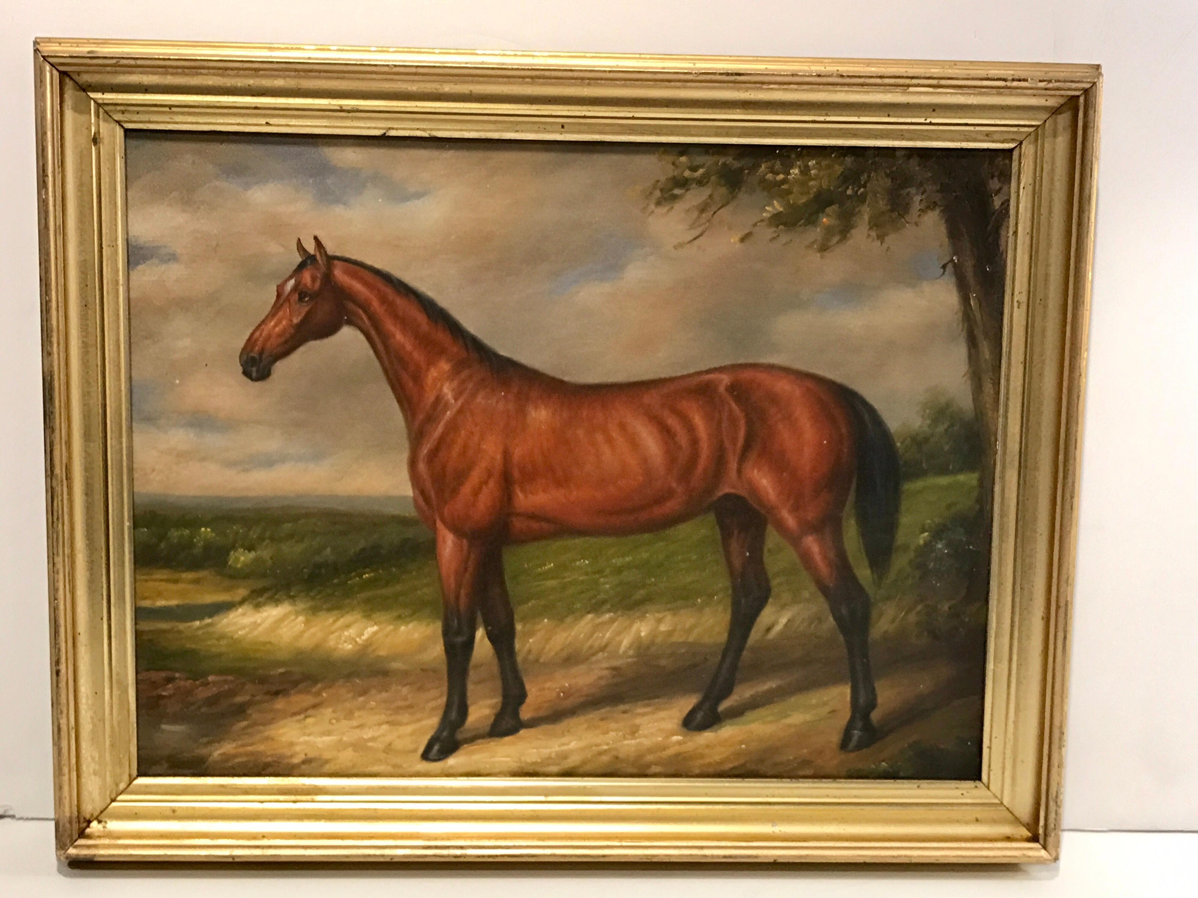 English Portrait of a Standing Horse 4