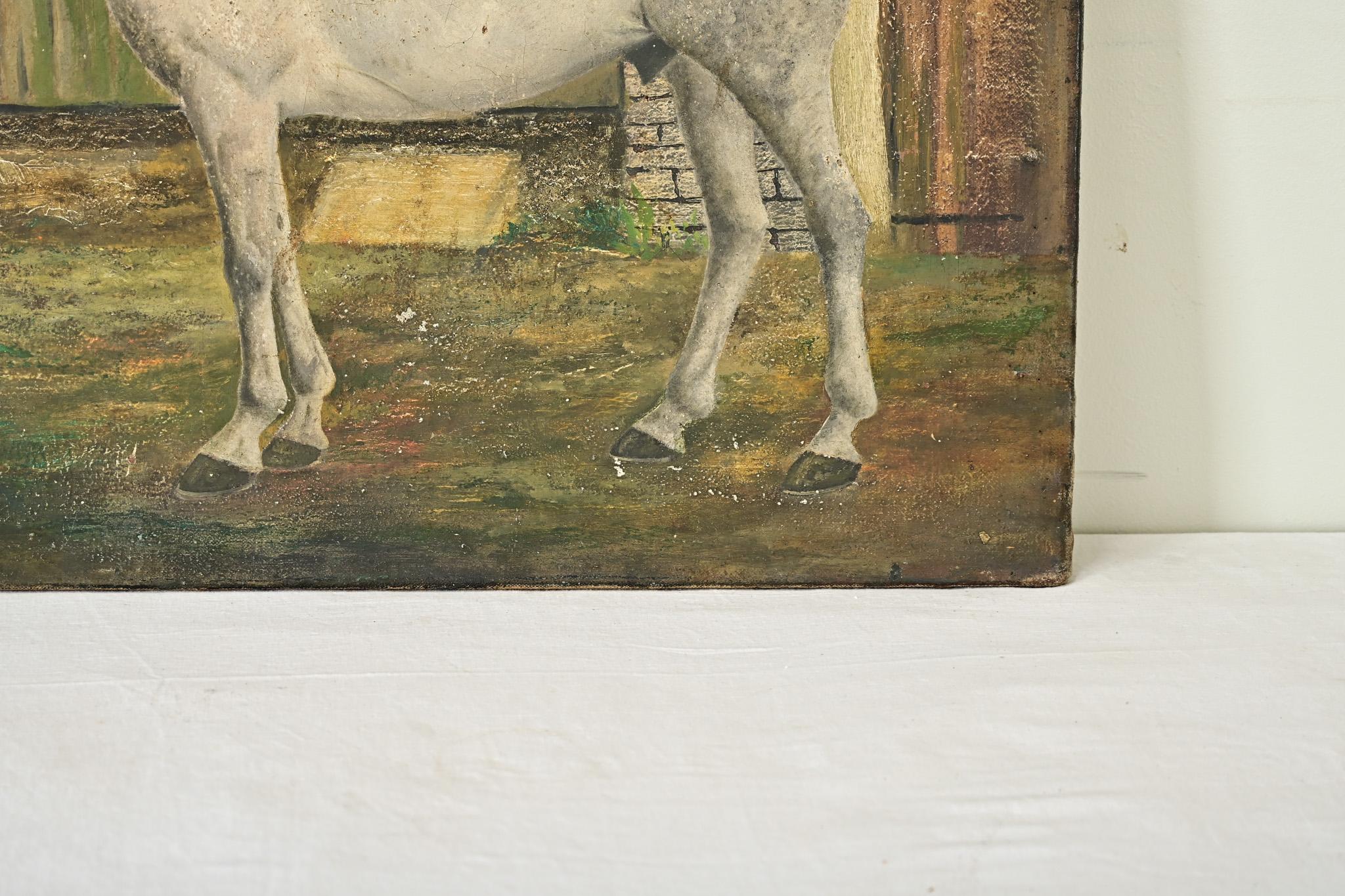 Inglese Ritratto di cavallo bianco in inglese di Dominic Fels in vendita