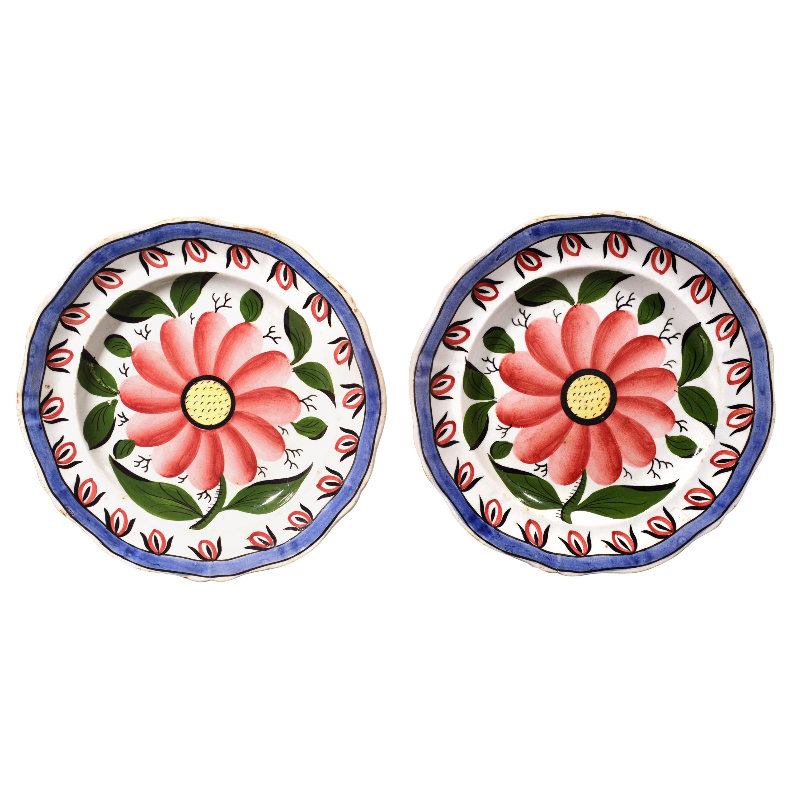 English Pottery Pearlware Botanical Plates, circa 1840