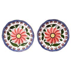 English Pottery Pearlware Botanical Plates, circa 1840