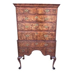 Englischer Queen Anne Wurzelholz Highboy mit Orig. Cabriole Beine auf Pad Füßen C 1720