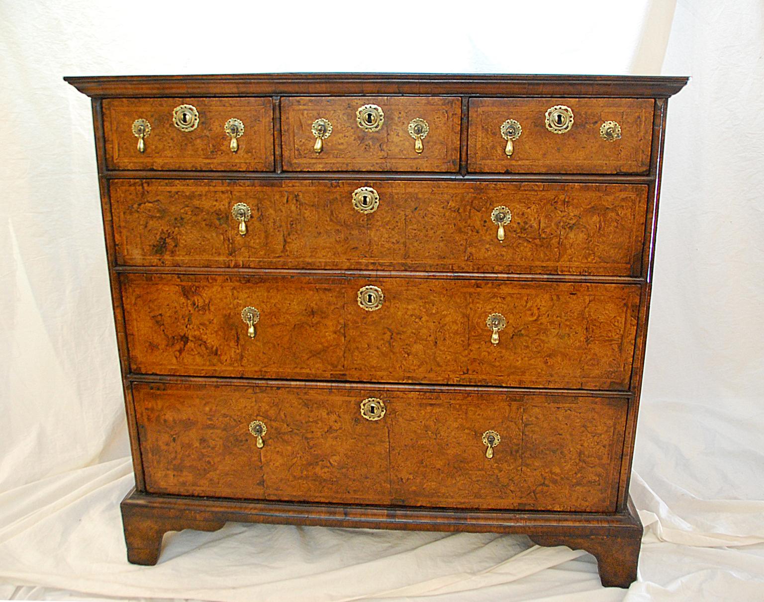 English Queen Anne period chest of six drawers in walnut with burr elm drawer fronts. The top is quartered and veneered in bookmatched walnut with herringbone banding and wide crossbanding. The drawer fronts are veneered in pollard elm which