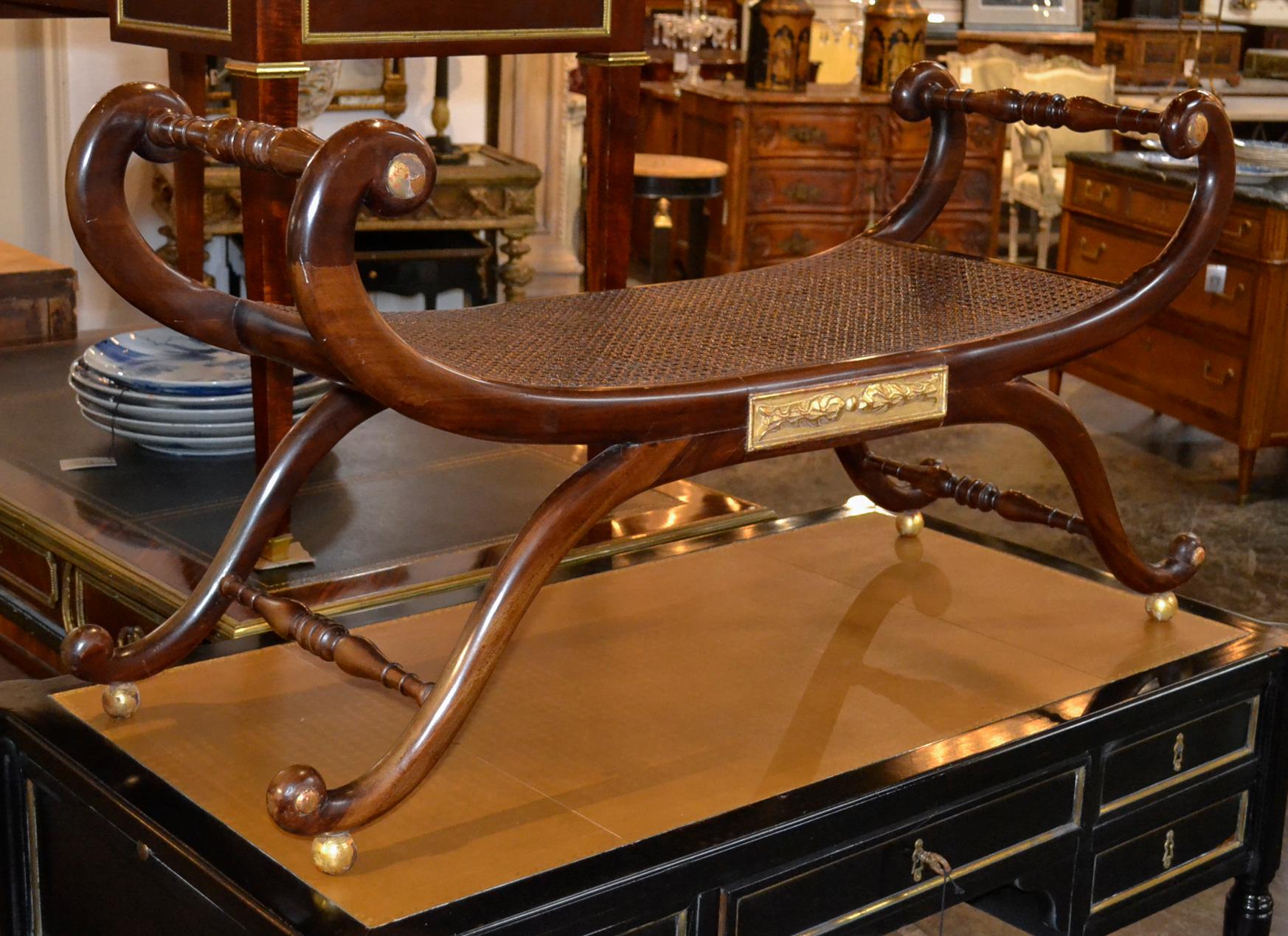 English Regency Bench with Cane 2