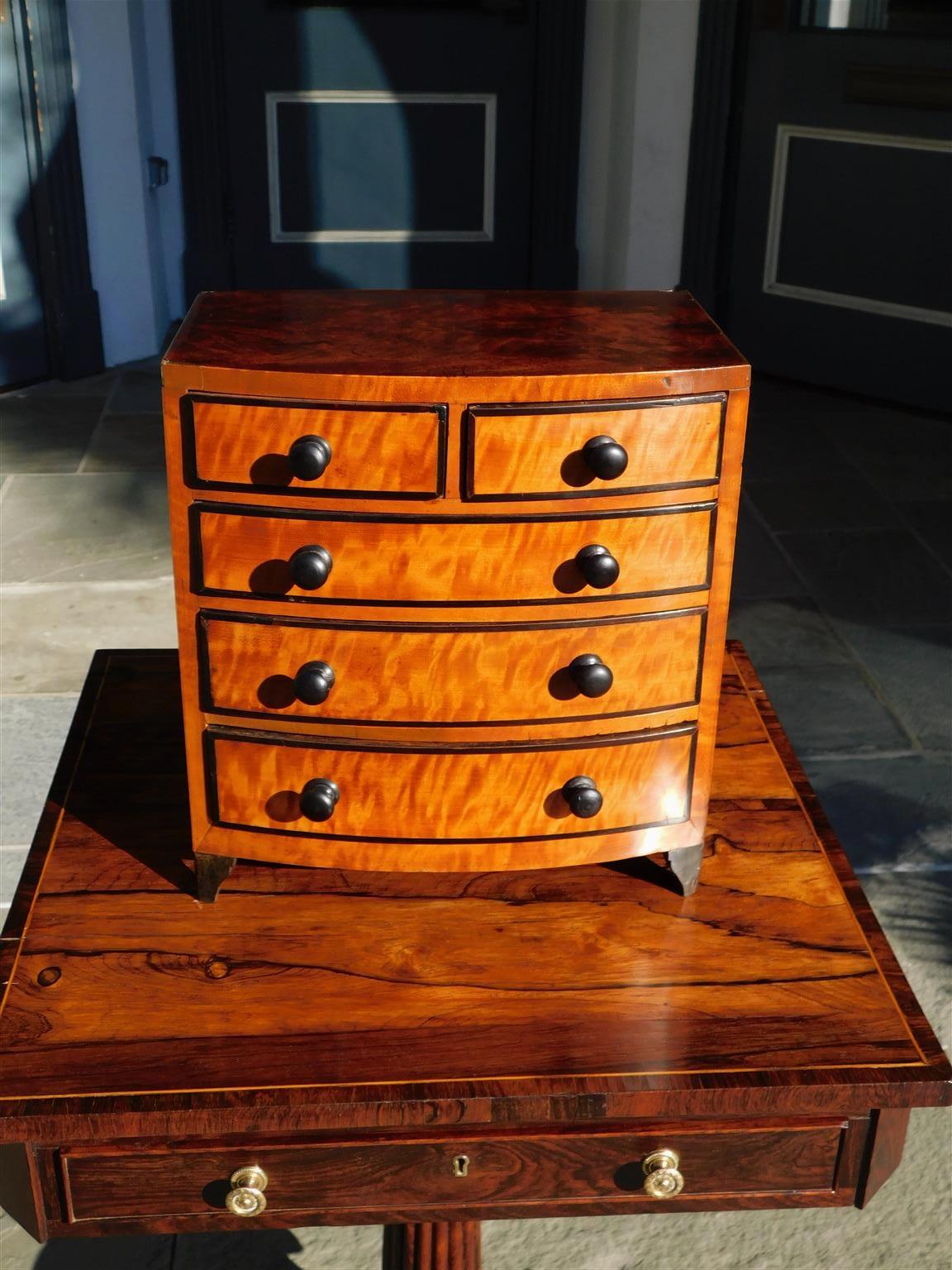 English Regency bow front mahogany and Satinwood ebonized miniature chest with five graduated drawers, ebonized knobs and drawer fronts, and resting on the original bracket feet. Early 19th Century.