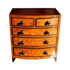 English Regency Bow Front Mahogany & Satinwood Ebonized Miniature Chest, C. 1810
