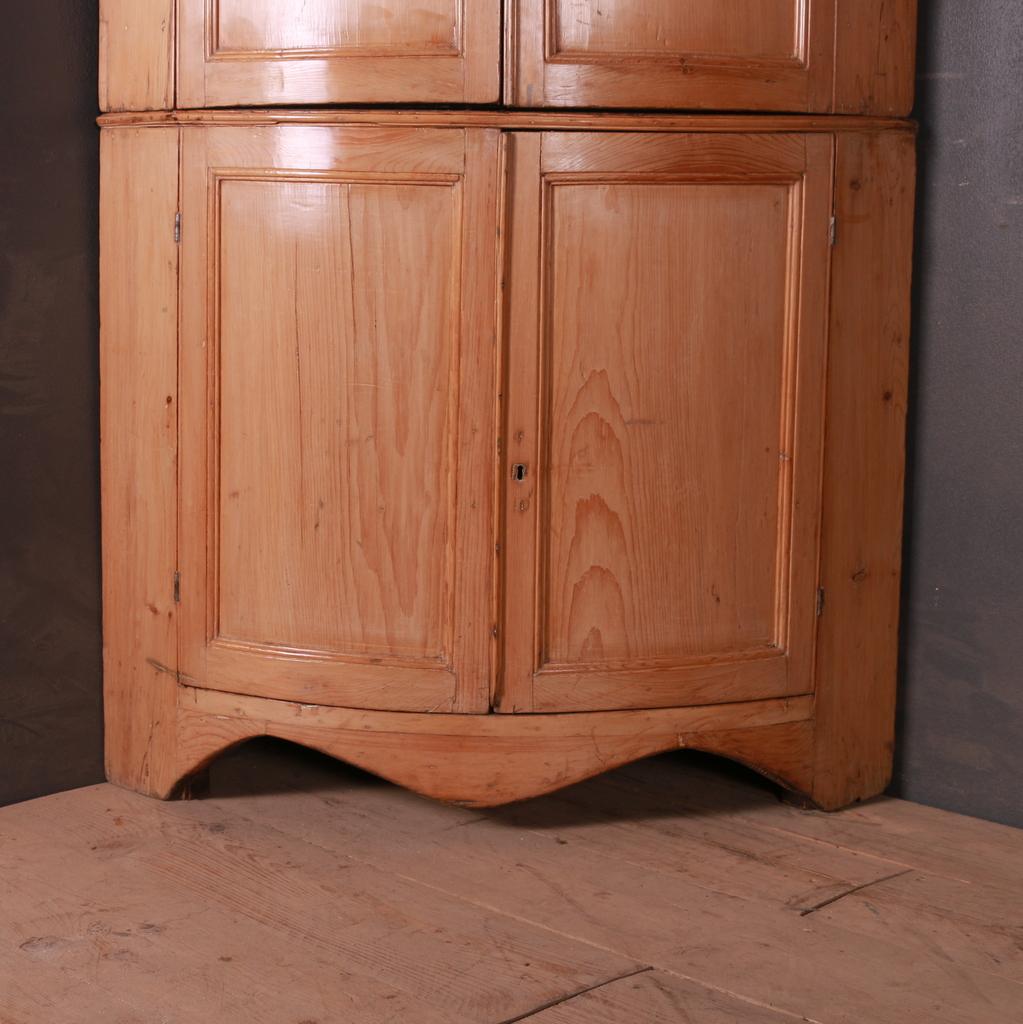 Pretty English Regency bow fronted pine corner cupboard. 1820.

To fit a wall depth of 29