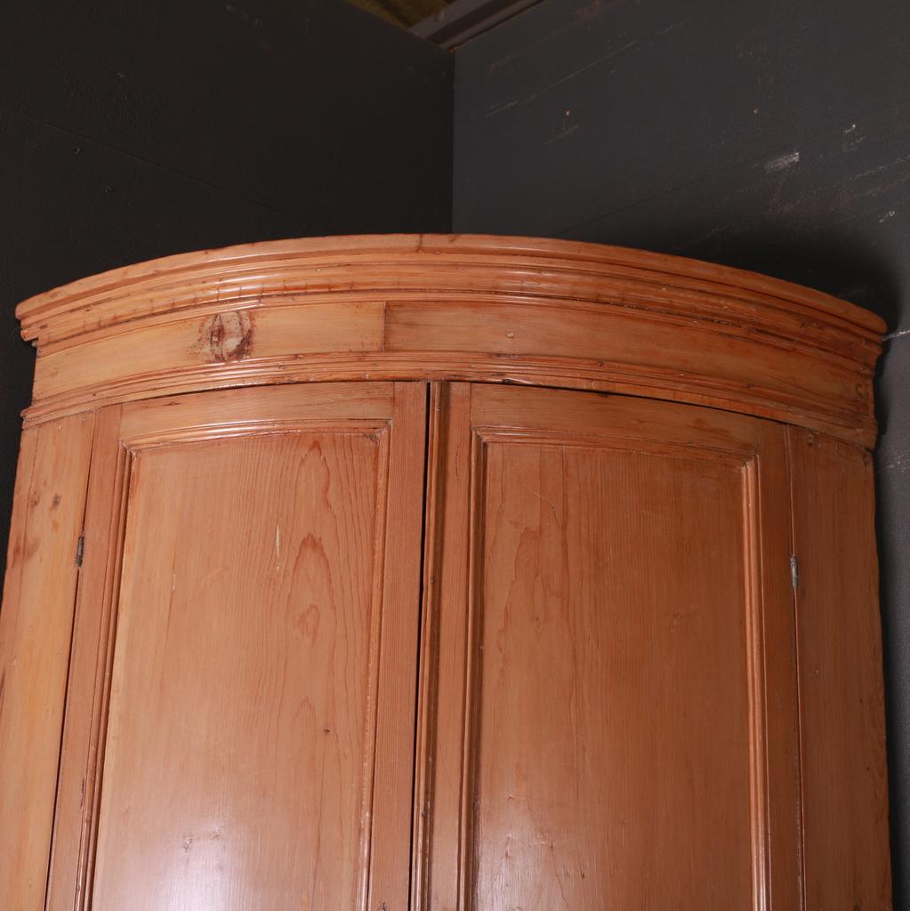 English Regency Bow Fronted Corner Cupboard In Good Condition For Sale In Leamington Spa, Warwickshire