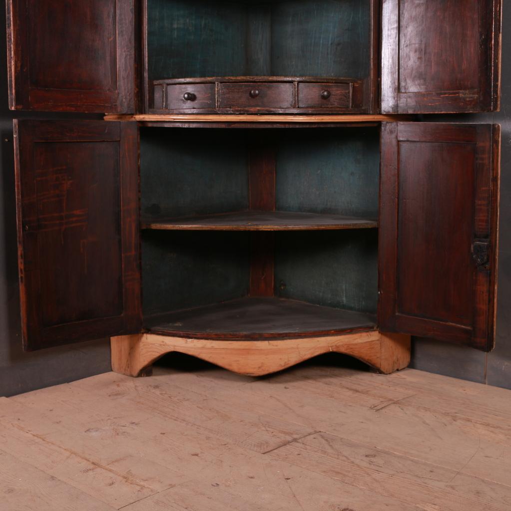 English Regency Bow Fronted Corner Cupboard For Sale 1