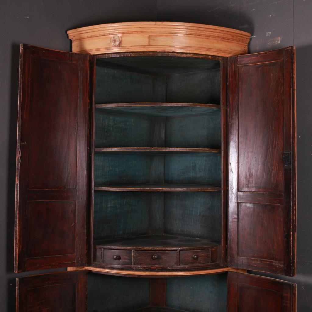 English Regency Bow Fronted Corner Cupboard For Sale 2