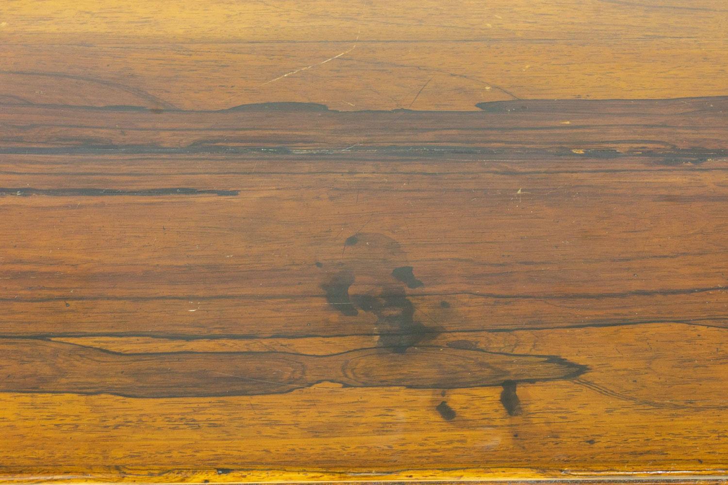 Mobile laterale in palissandro intarsiato in ottone della Reggenza inglese in vendita 4