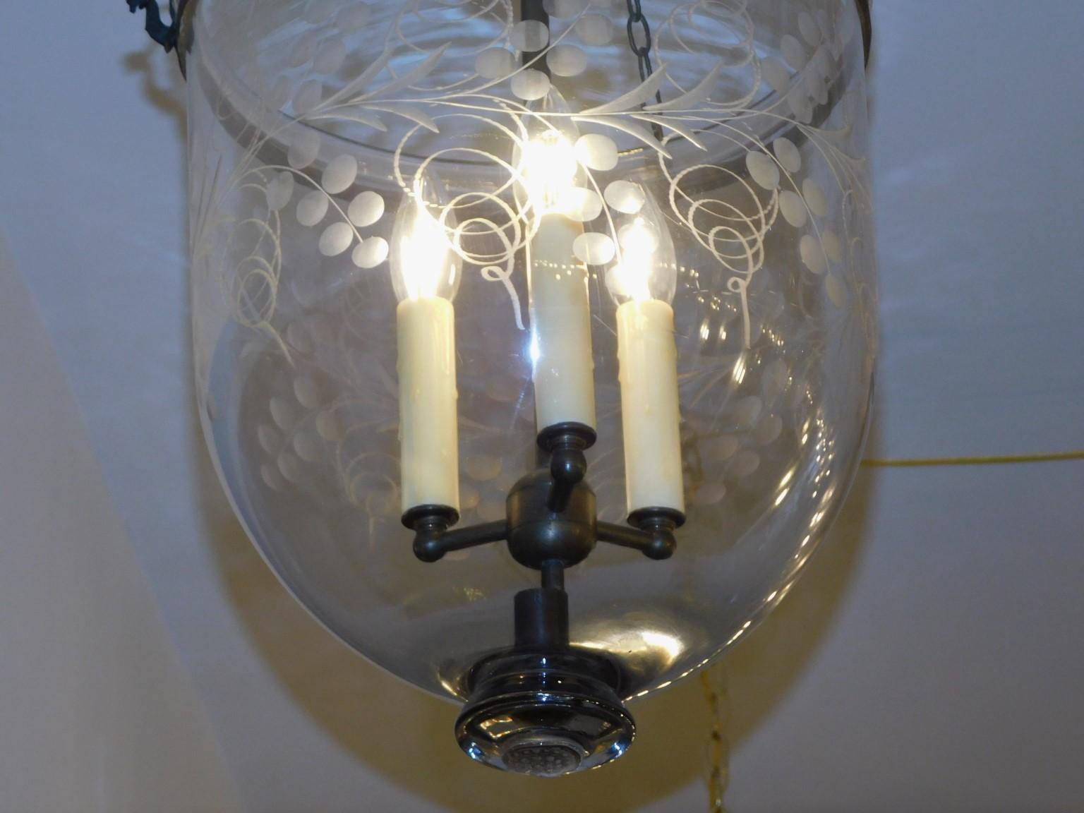 Bronze English Regency Grapevine Blown Glass Hanging Bell Jar Hall Lantern, Circa 1810 For Sale