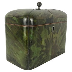 English Regency Green Tortoise Shell Tea Caddy
