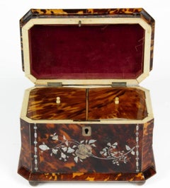 English Regency Inlaid Shell Double Tea Caddy, 19th Century