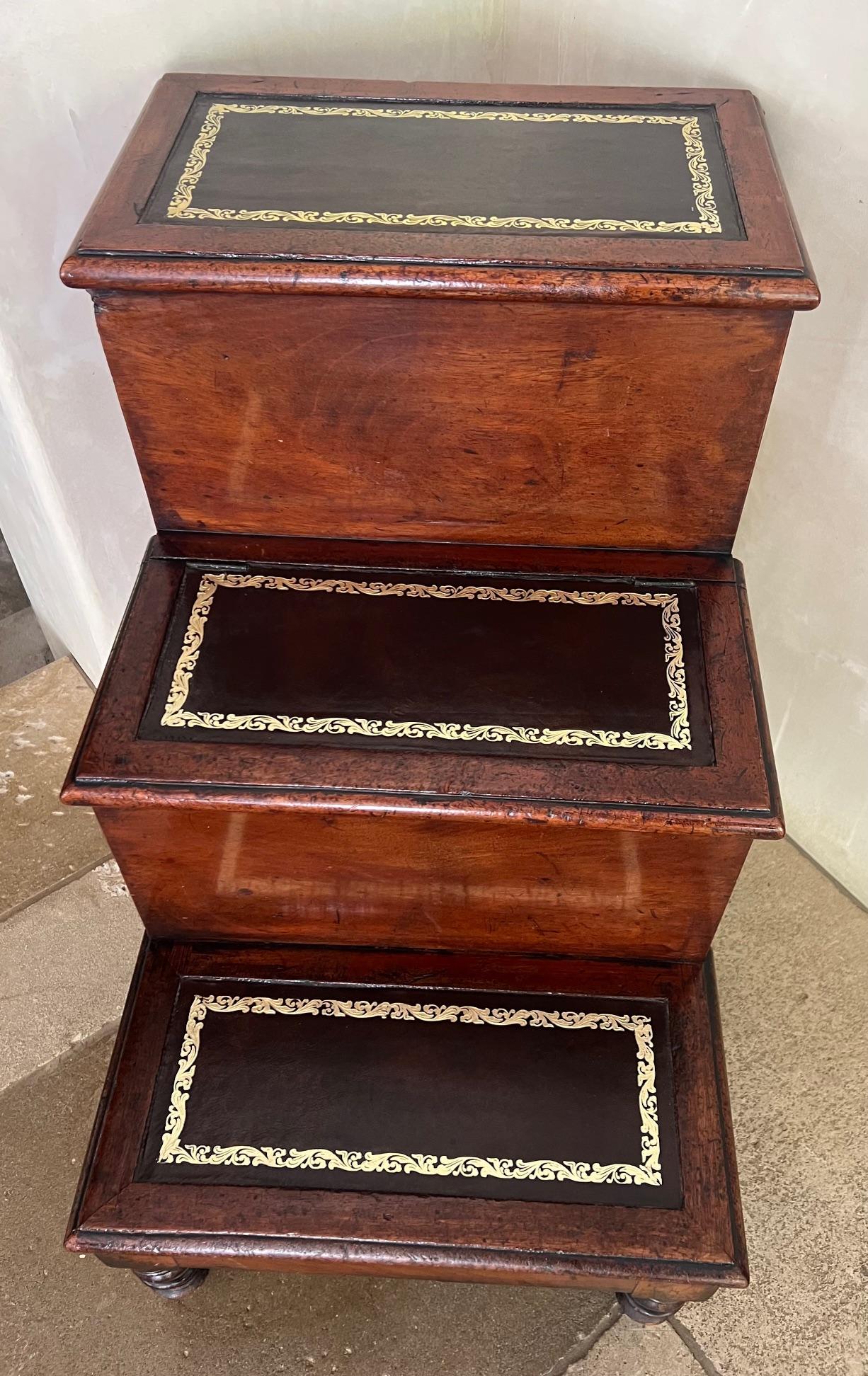Steps de style English Regency couvertes de cuir avec rangement, vers 1810 en vente 2
