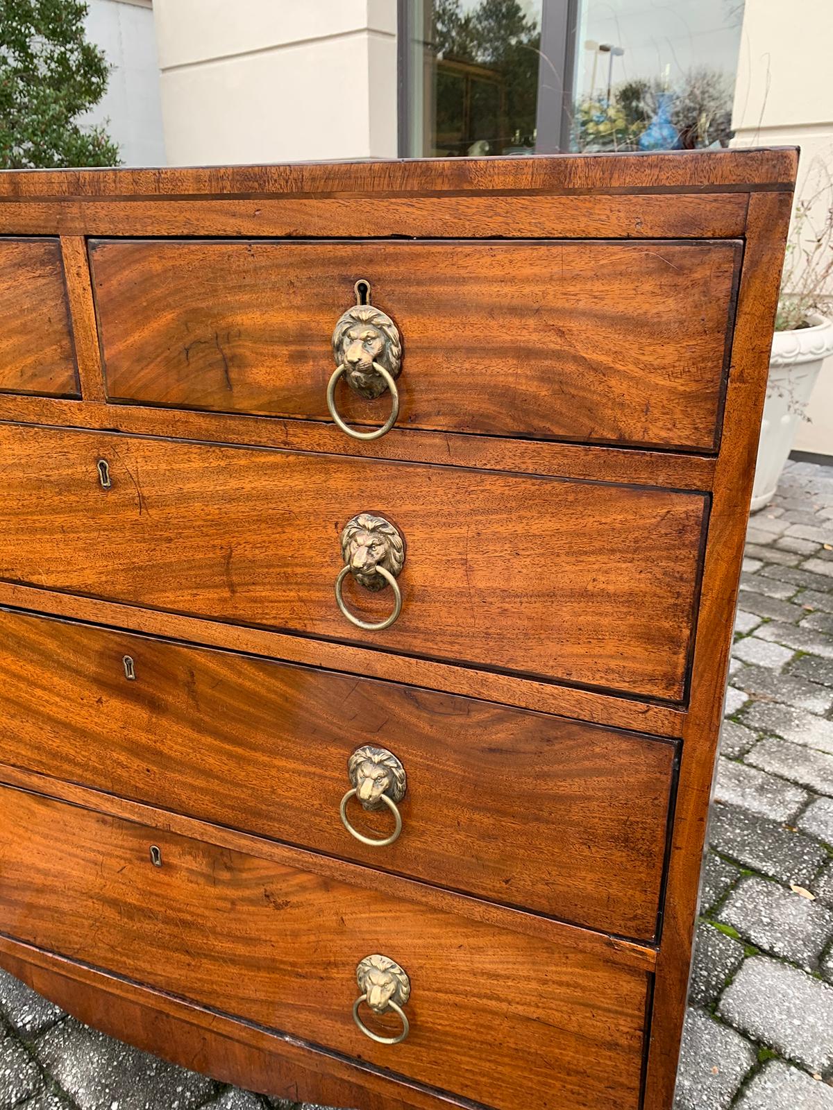 English Regency Mahogany Caddy Top Chest with Lion Pulls, circa 1820s 5