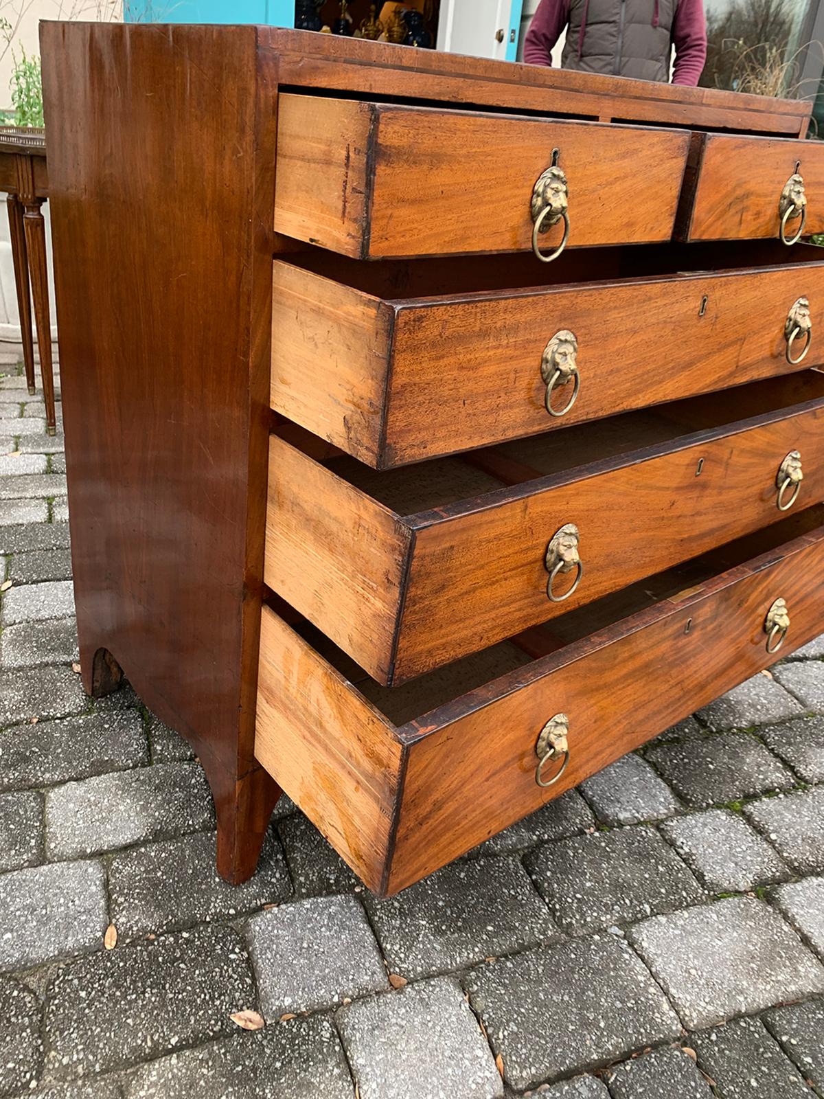 English Regency Mahogany Caddy Top Chest with Lion Pulls, circa 1820s 1