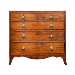 English Regency Mahogany Caddy Top Chest with Lion Pulls, circa 1820s