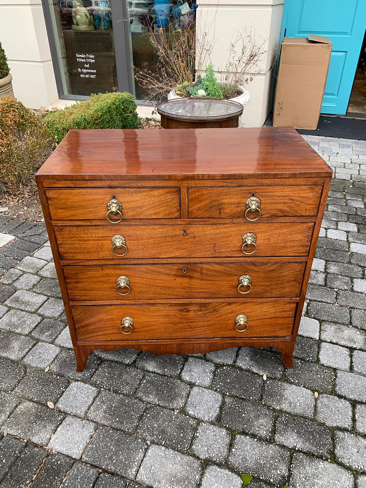 English Regency Mahogany Caddy Top Chest with Lion Pulls, circa 1820s 2
