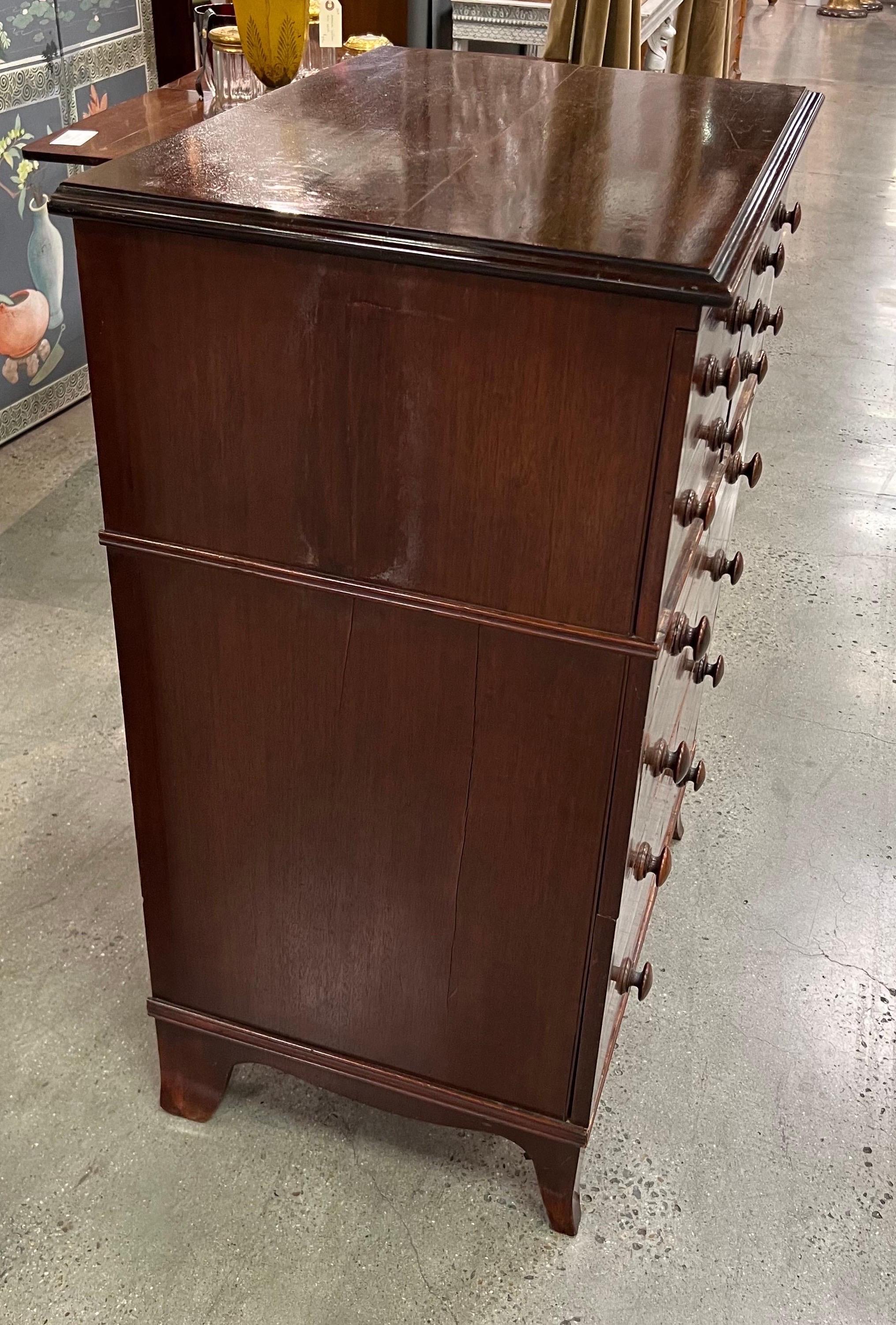 English Regency Mahogany Chest with Ebonized Details In Good Condition For Sale In Charleston, SC