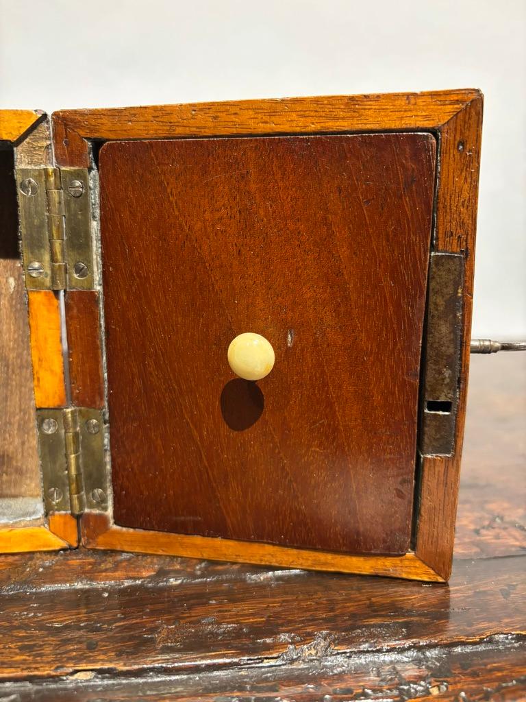English Regency Mahogany Tea Caddy With Fruit Wood Sea Shell Inlay 8