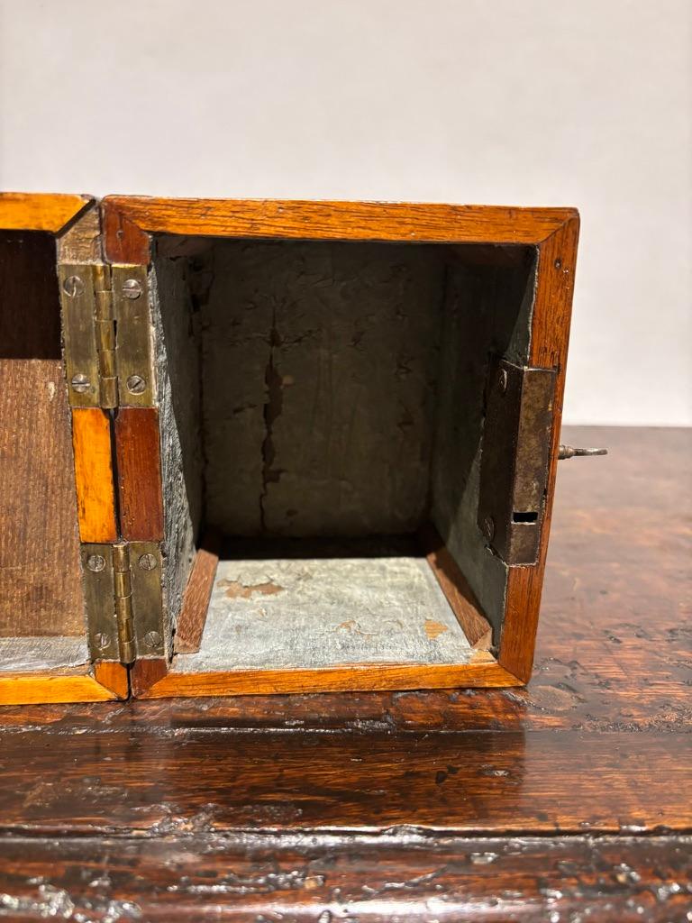 English Regency Mahogany Tea Caddy With Fruit Wood Sea Shell Inlay 9