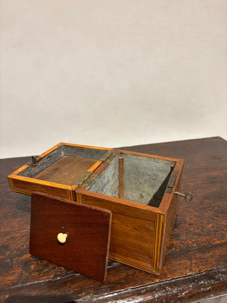 English Regency Mahogany Tea Caddy With Fruit Wood Sea Shell Inlay 10