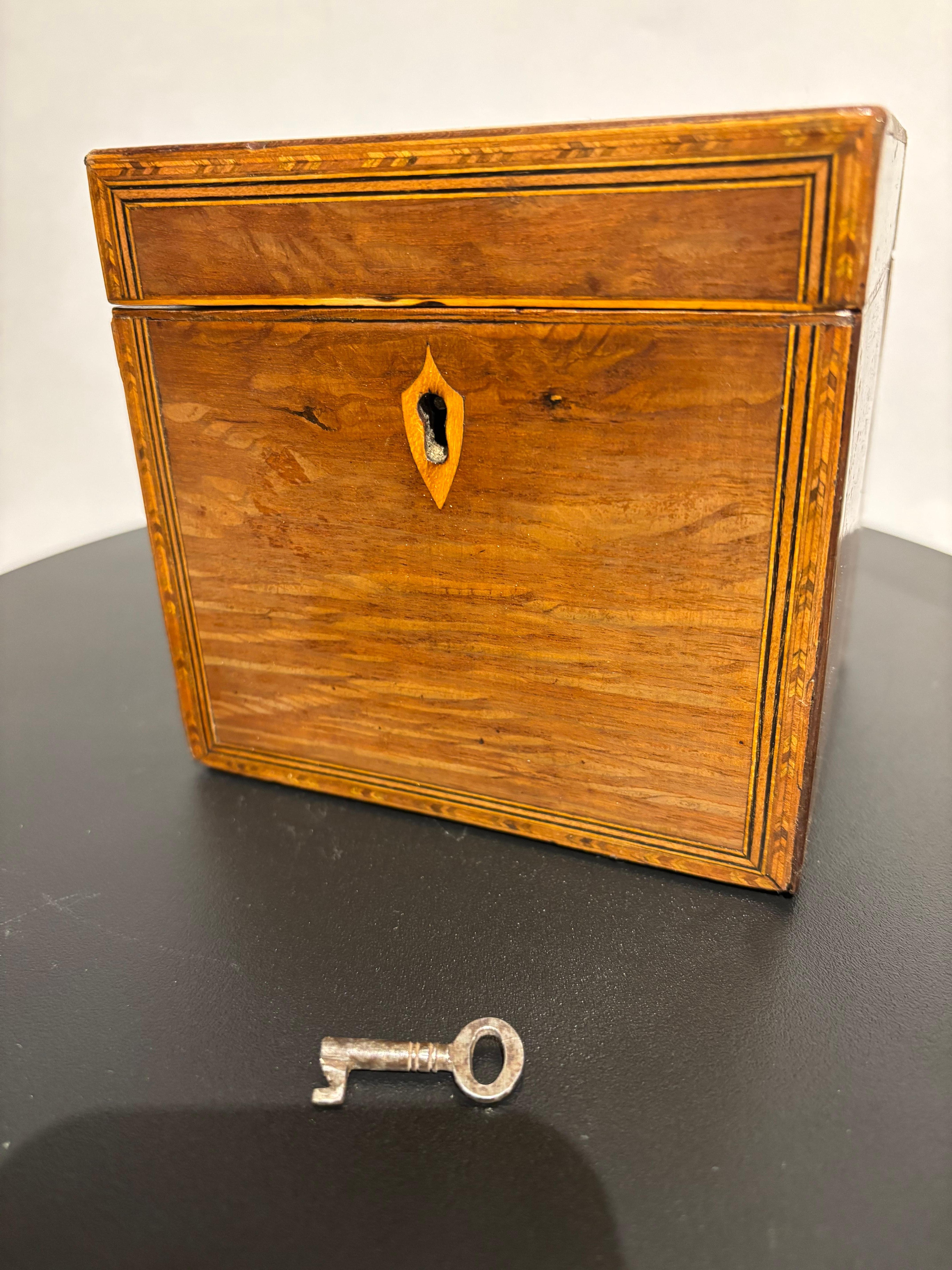 English Regency Mahogany Tea Caddy With Fruit Wood Sea Shell Inlay 12