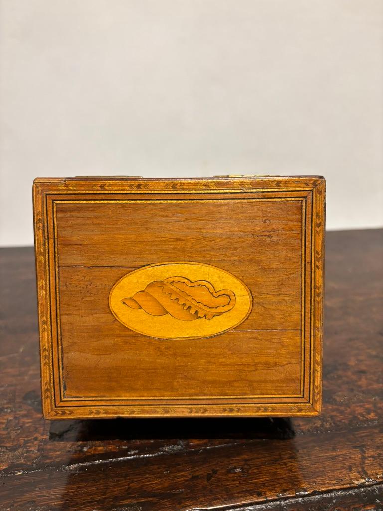 18th century English Georgian mahogany tea caddy with herringbone and banded inlaid borders and oval conch shell satinwood inlay on the top. With hinged lid enclosing lidded interior retaining partial paper foil lining.

This is a sweet little box