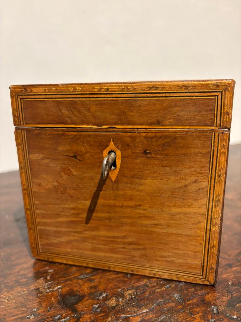Georgian English Regency Mahogany Tea Caddy With Fruit Wood Sea Shell Inlay