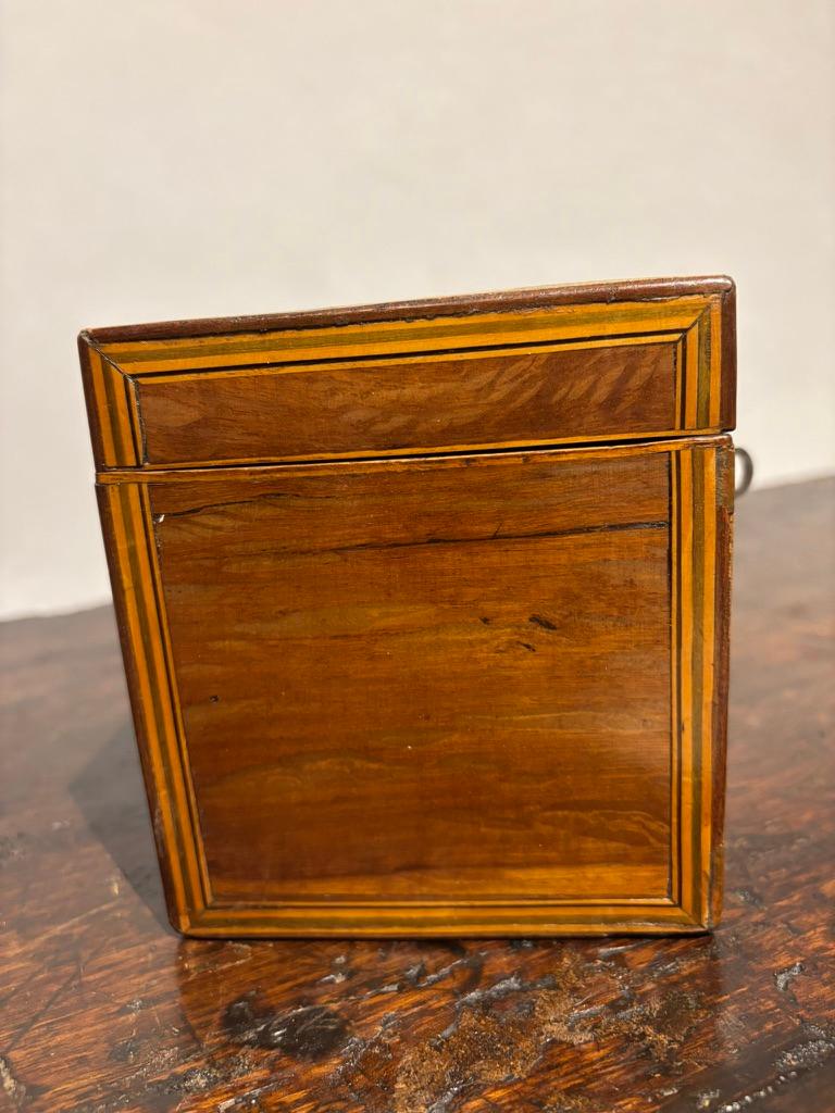English Regency Mahogany Tea Caddy With Fruit Wood Sea Shell Inlay In Good Condition In Stamford, CT