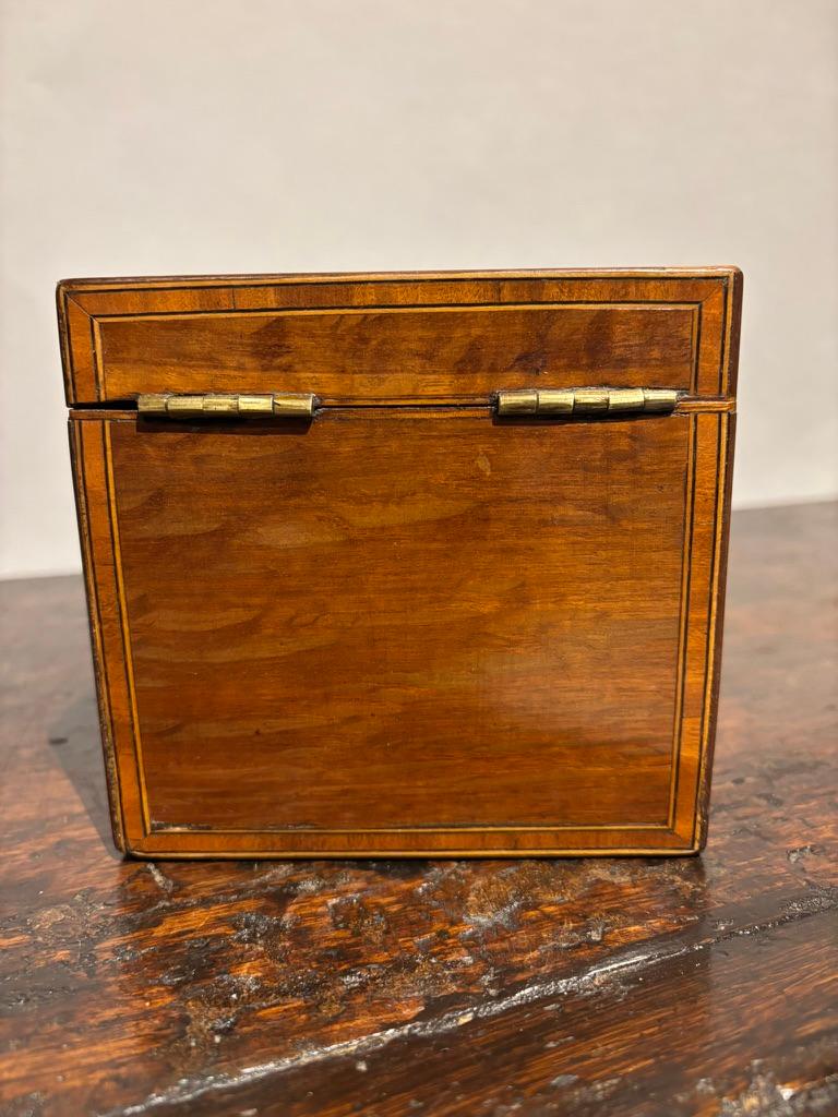 18th Century English Regency Mahogany Tea Caddy With Fruit Wood Sea Shell Inlay