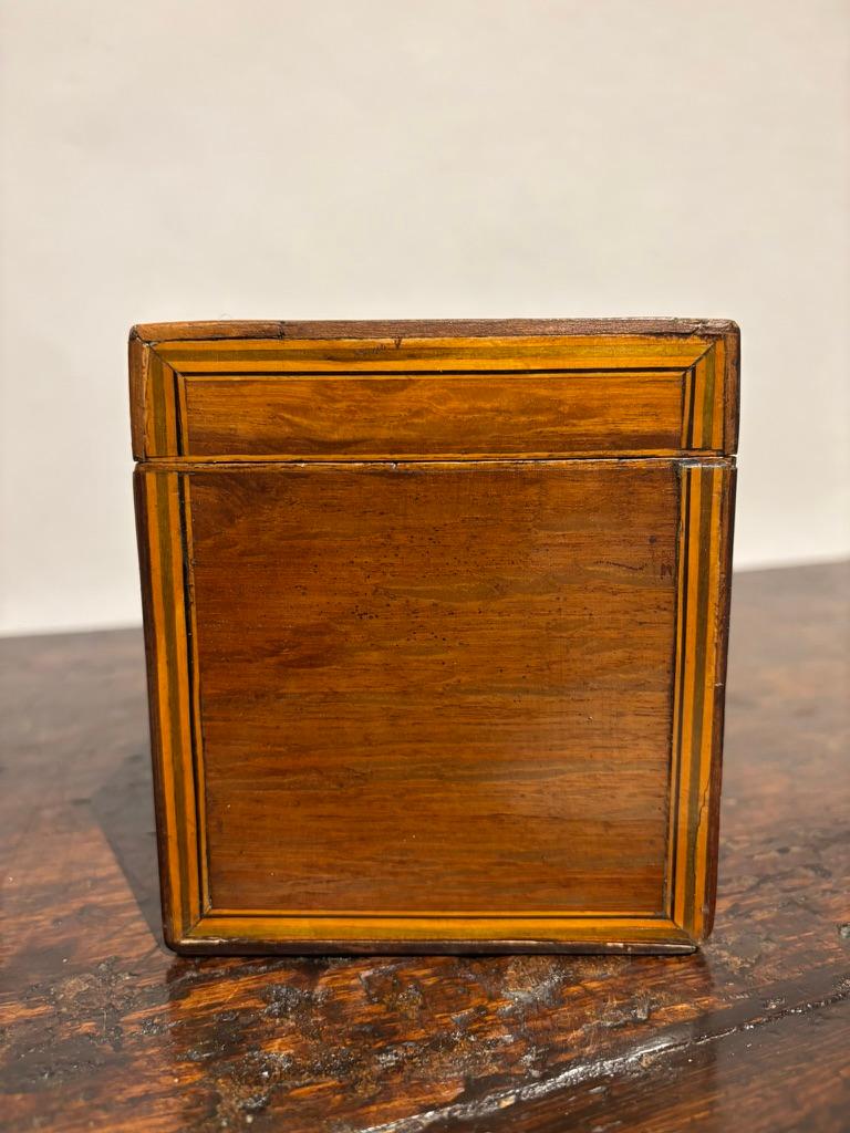 Fruitwood English Regency Mahogany Tea Caddy With Fruit Wood Sea Shell Inlay