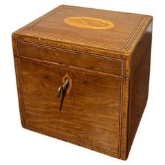 Antique English Regency Mahogany Tea Caddy With Fruit Wood Sea Shell Inlay
