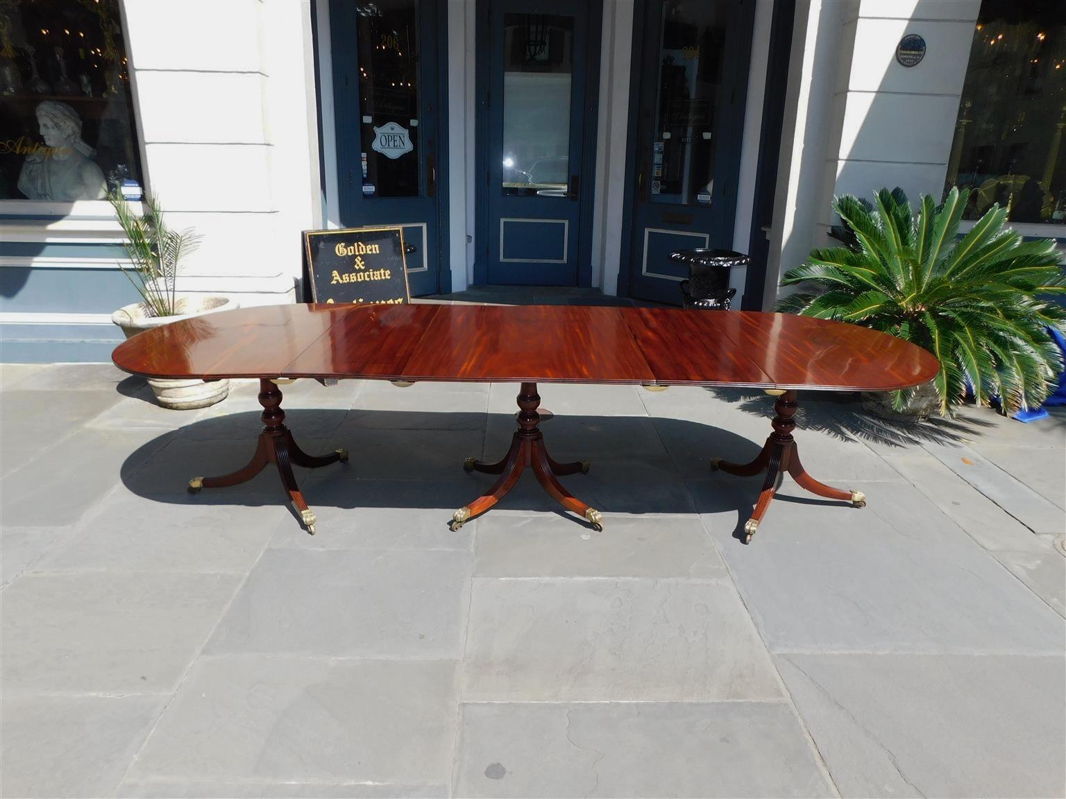 English Regency Cuban mahogany triple pedestal dining room table with a carved molded reeded edge, two removable leaves, center section with original interior locking mechanism, turned bulbous ringed pedestals with four reeded saber legs supporting