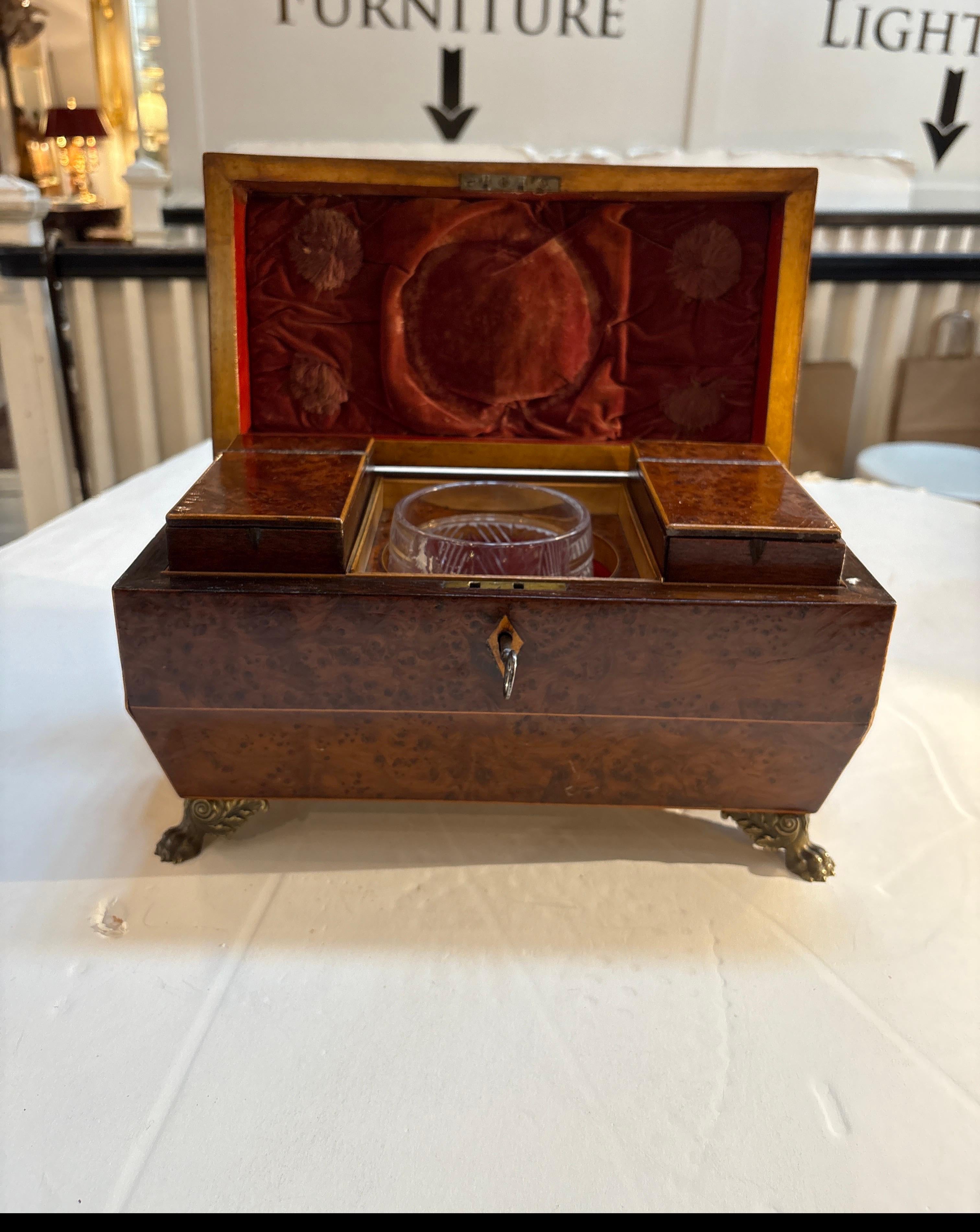 Début du XIXe siècle Boîte à thé en bois d'Amboyna d'époque Régence anglaise en vente