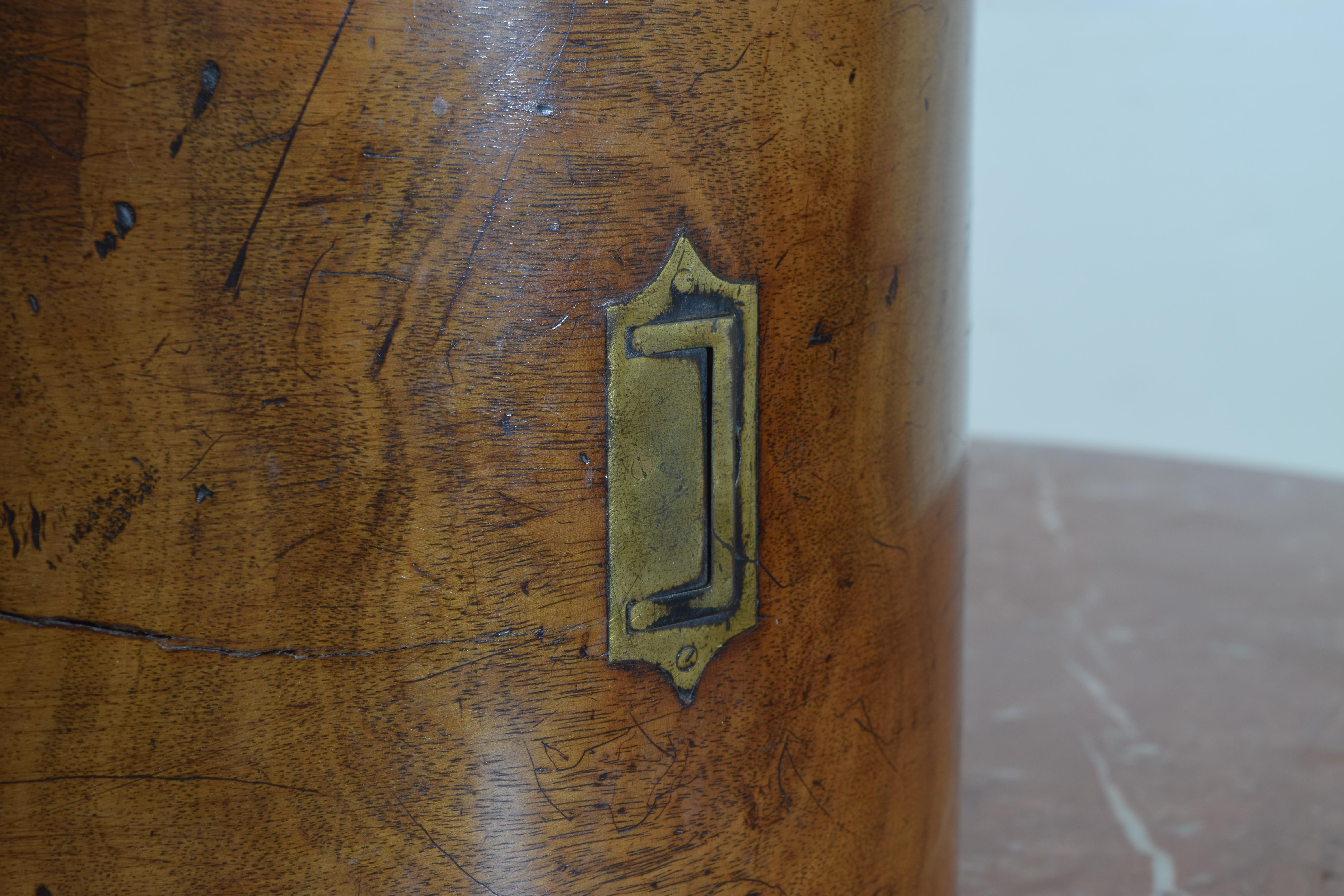 English Regency Period Mahogany and Brass Instrument Cabinet, circa 1820 2