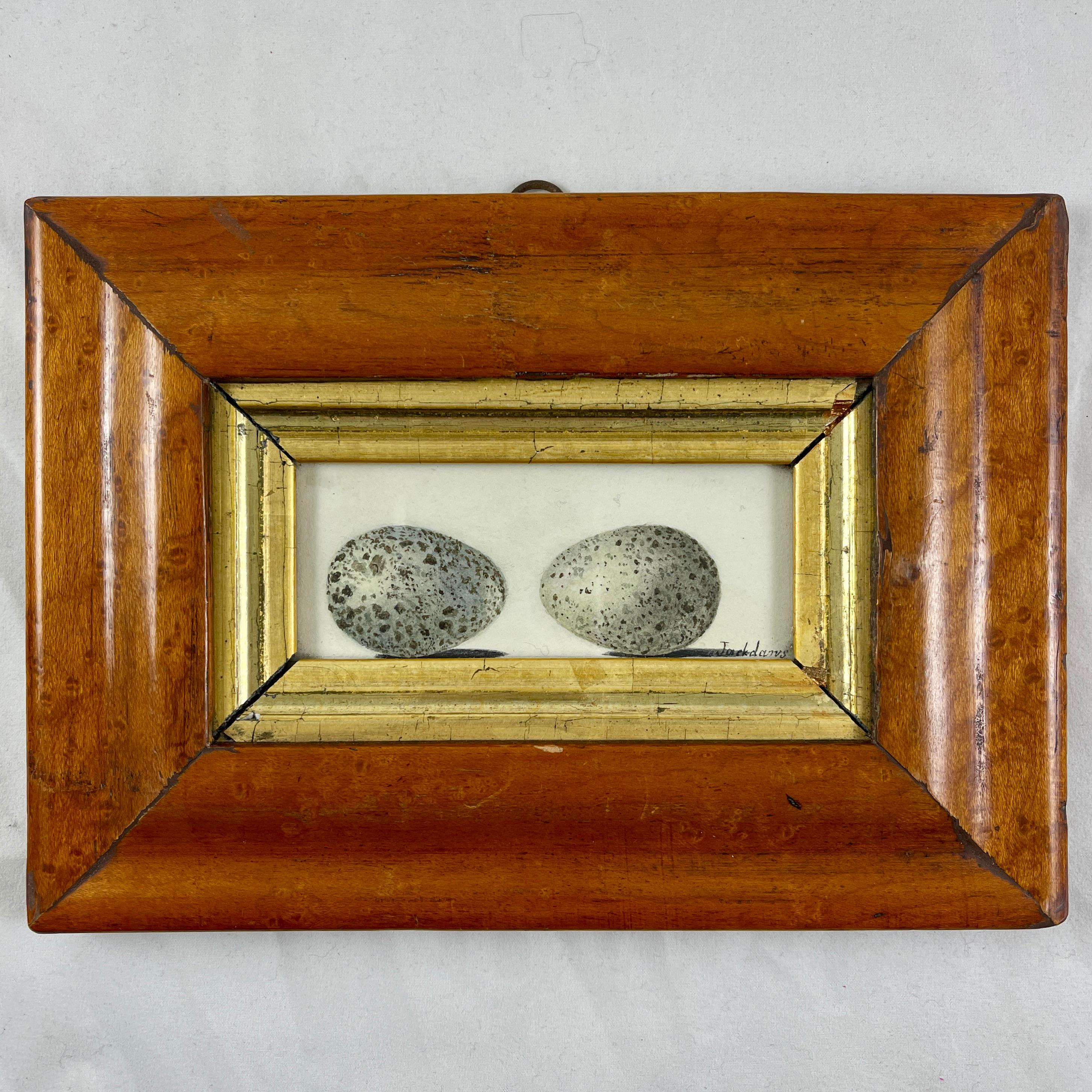 Englisches Original-Aquarell-Vogelaugenahorn-Rahmen aus der Regency-Zeit, zwei Jackdaw-Eichen (Abgeschrägt) im Angebot