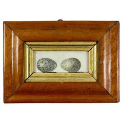 English Regency Period Original Watercolor Birdseye Maple Frame Two Jackdaw Eggs
