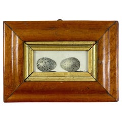 English Regency Period Original Watercolor Birdseye Maple Frame Two Jackdaw Eggs