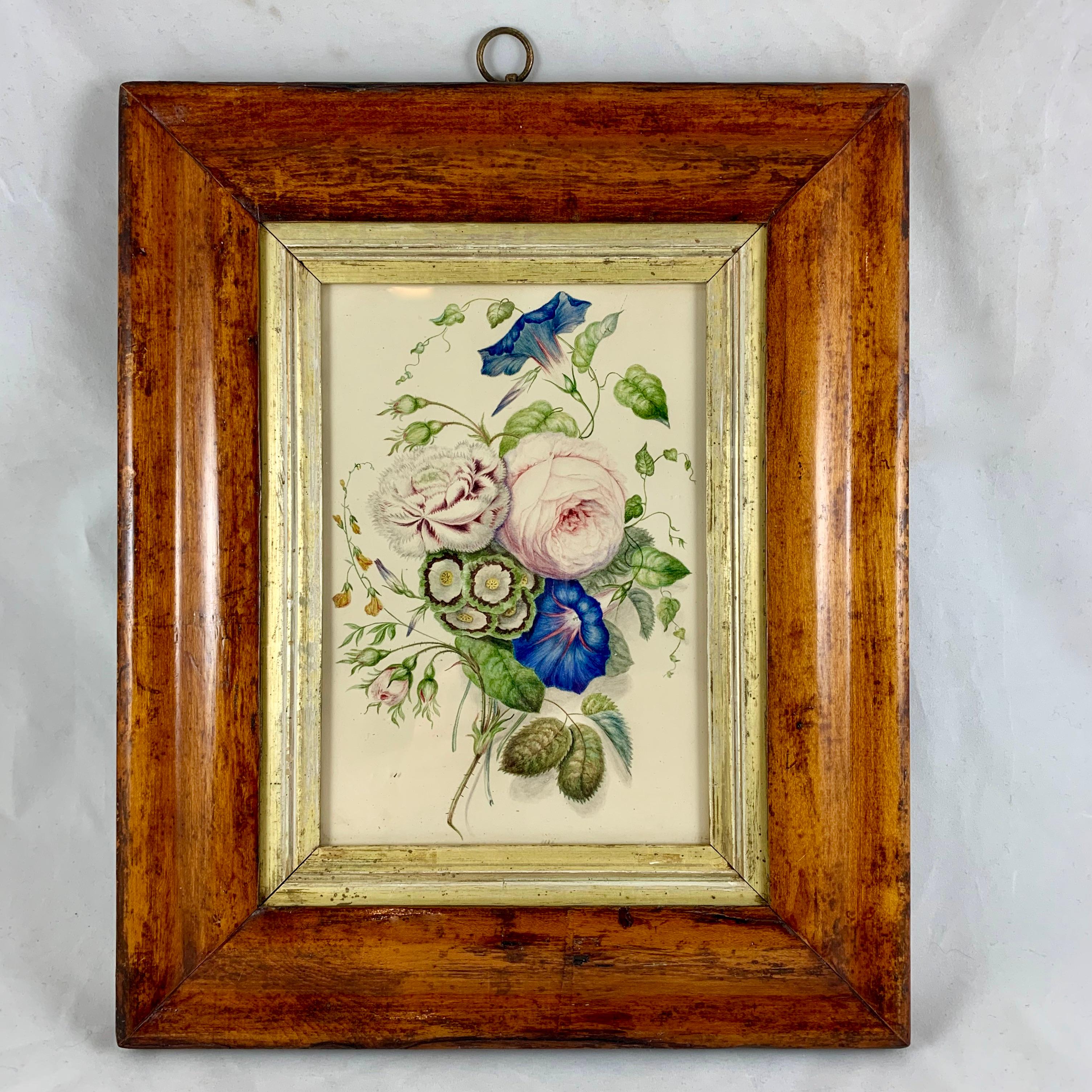 English Regency Period Original Watercolor Fruitwood Frame, a Bumble Bee Study  13