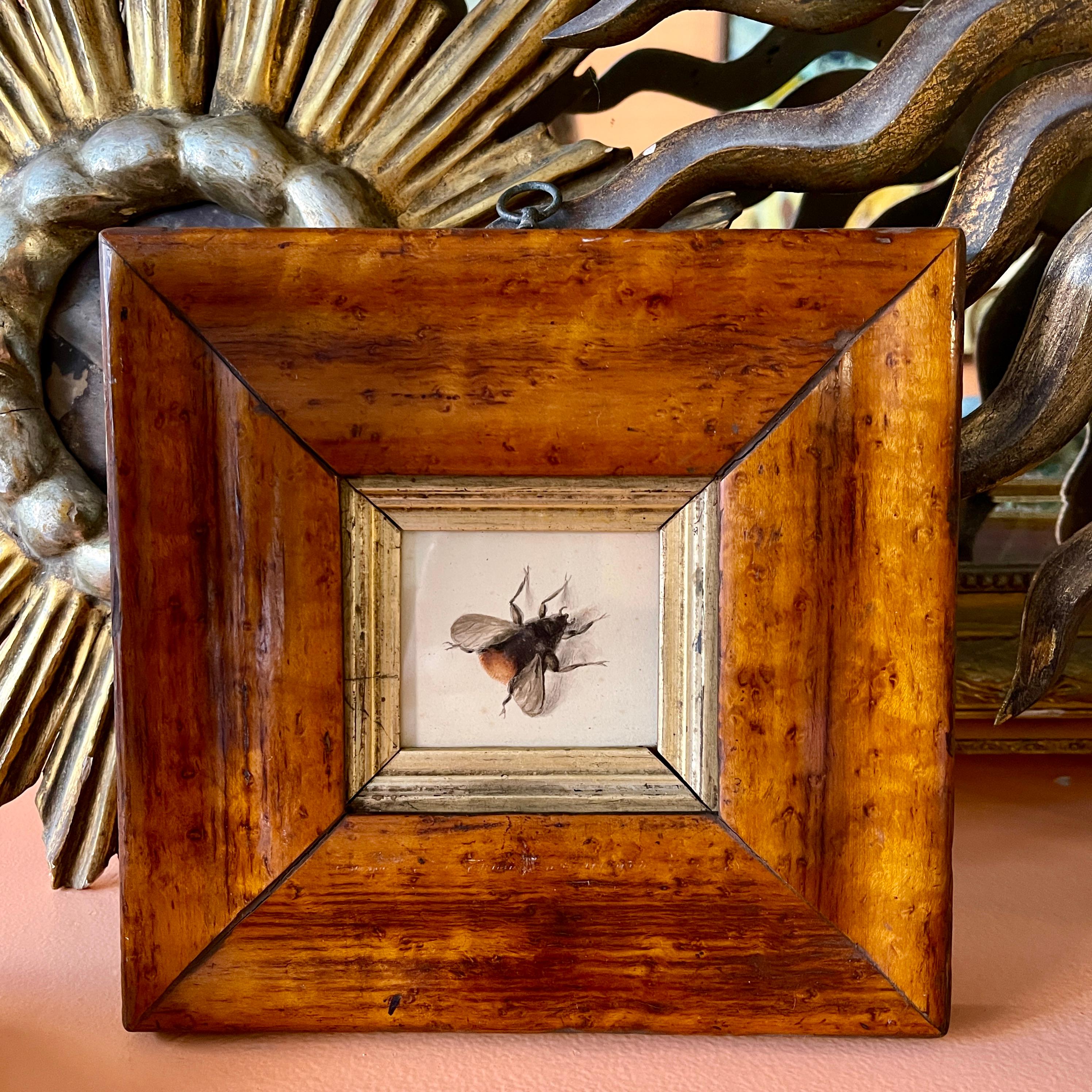 An original British School Regency Period watercolor study of a bumble bee, mounted in a Georgian Period fruitwood frame – circa 1825-1835.

These watercolors were largely painted by young girls from aristocratic families during the Jane Austen