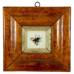 Antique English Regency Period Original Watercolor Fruitwood Frame, a Bumble Bee Study 