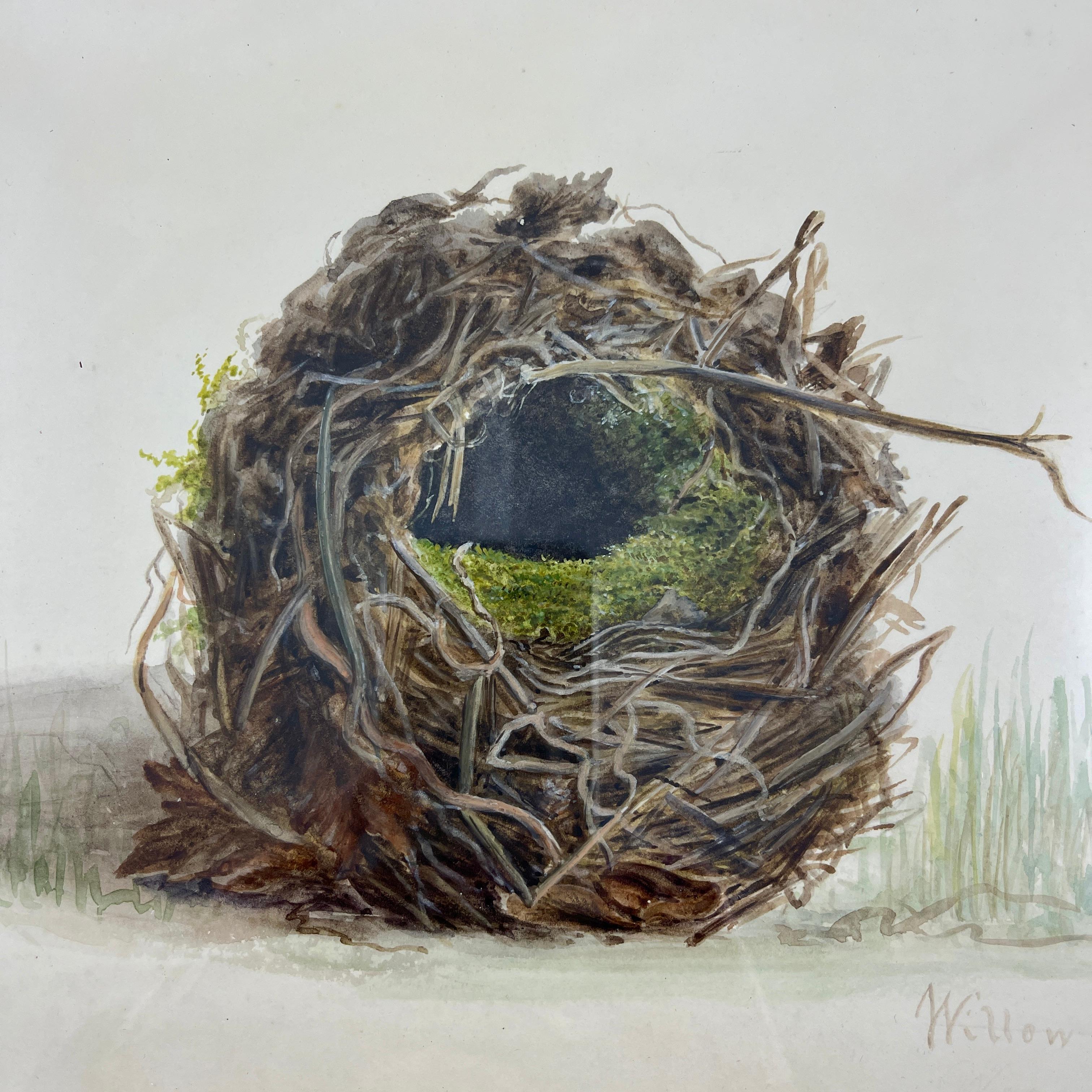 An original British School Regency Period watercolor study of a Willow Wren’s nest and egg, mounted in a Georgian Period fruitwood frame – Dated 1863.

These watercolors were largely painted by young girls from aristocratic families during the